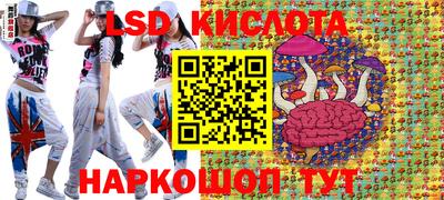 Альфа ПВП Ставрополь
