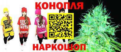 Альфа ПВП Ставрополь