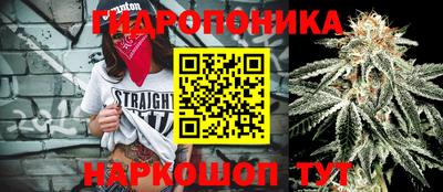 Альфа ПВП Ставрополь