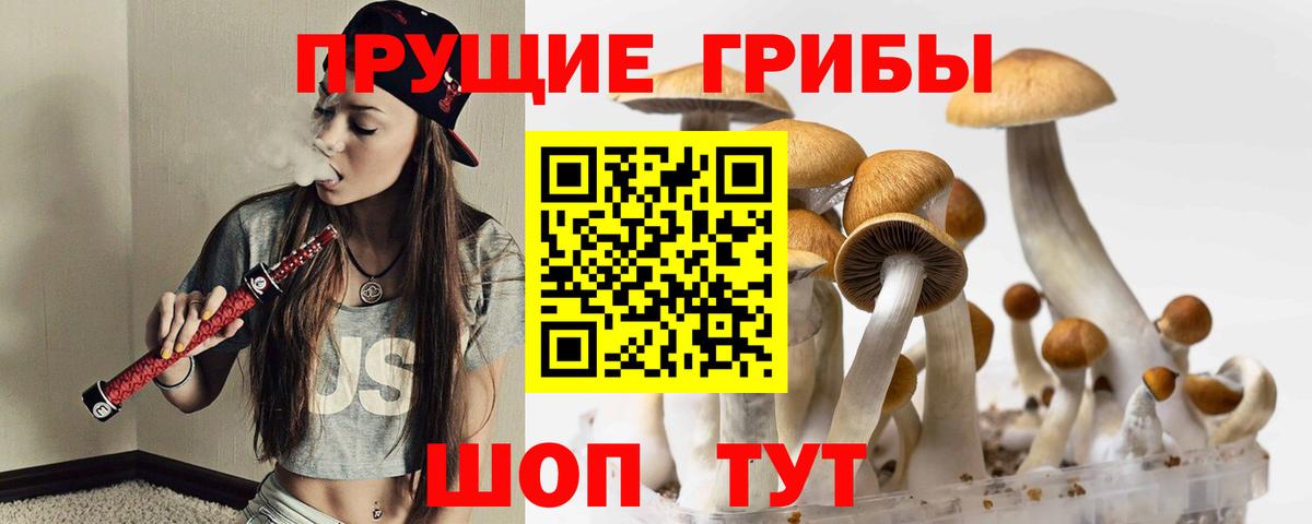 Галлюциногенные грибы прущие грибы Первоуральск