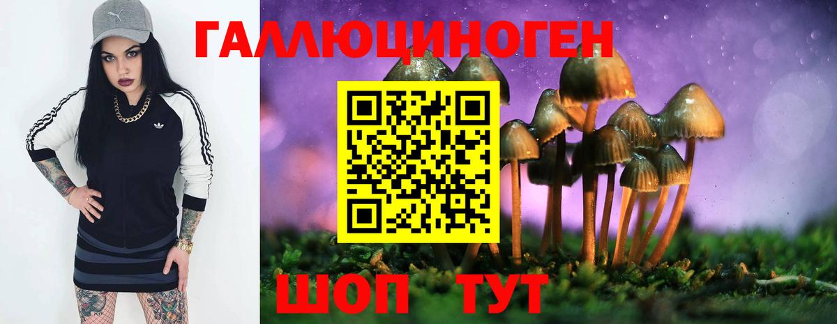 Псилоцибиновые грибы Psilocybine cubensis  Вход с VPN  Первоуральск  Псилоцибиновые грибы MAGIC MUSHROOMS 